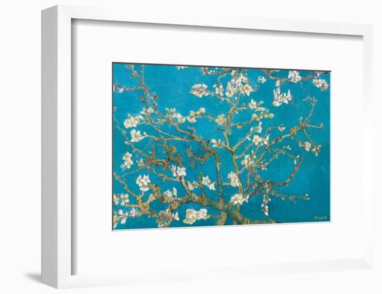 Almond Branches in Bloom, San Remy, c.1890-Vincent van Gogh-Framed Premium Giclee Print