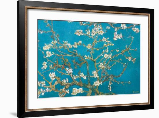 Almond Branches in Bloom, San Remy, c.1890-Vincent van Gogh-Framed Premium Giclee Print