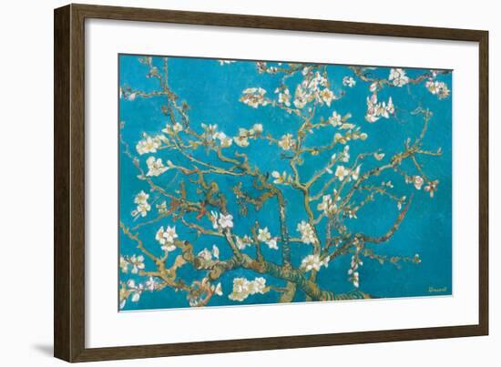 Almond Branches in Bloom, San Remy, c.1890-Vincent van Gogh-Framed Premium Giclee Print