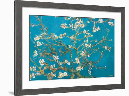 Almond Branches in Bloom, San Remy, c.1890-Vincent van Gogh-Framed Premium Giclee Print