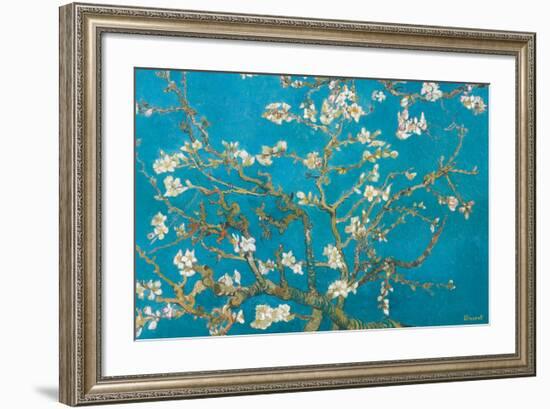 Almond Branches in Bloom, San Remy, c.1890-Vincent van Gogh-Framed Premium Giclee Print