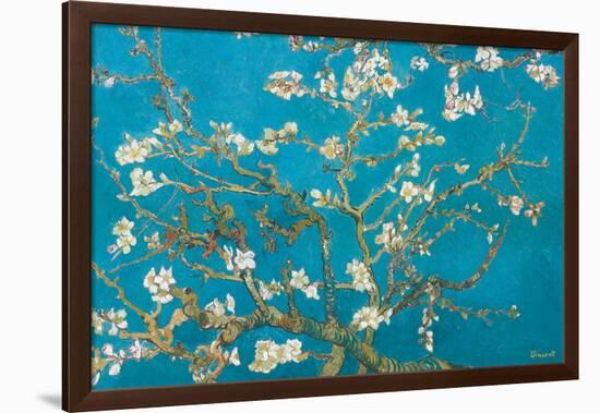 Almond Branches in Bloom, San Remy, c.1890-Vincent van Gogh-Framed Premium Giclee Print