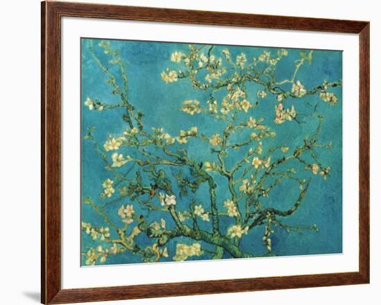 Almond Branches in Bloom, San Remy, c.1890-Vincent van Gogh-Framed Art Print