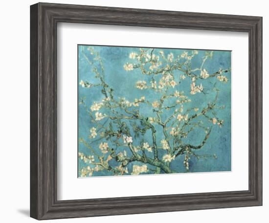 Almond Branches in Bloom, San Remy, c.1890-Vincent van Gogh-Framed Art Print