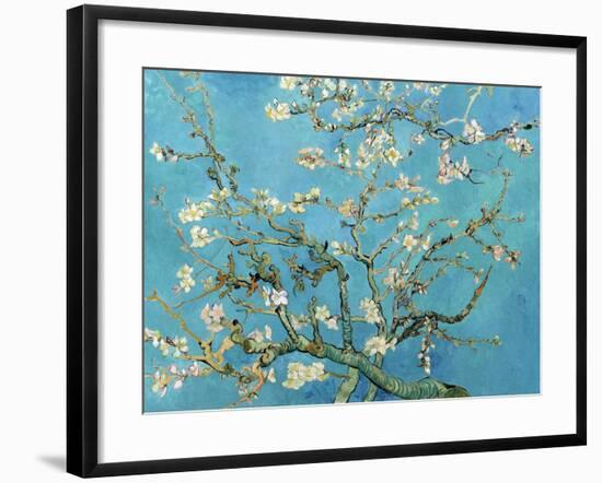 Almond Branches in Bloom, San Remy, c.1890-Vincent van Gogh-Framed Art Print