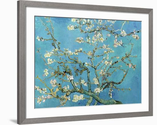 Almond Branches in Bloom, San Remy, c.1890-Vincent van Gogh-Framed Art Print