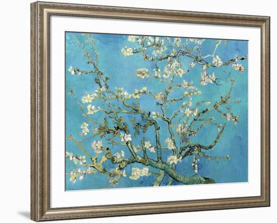 Almond Branches in Bloom, San Remy, c.1890-Vincent van Gogh-Framed Art Print