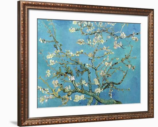 Almond Branches in Bloom, San Remy, c.1890-Vincent van Gogh-Framed Art Print