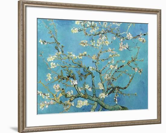 Almond Branches in Bloom, San Remy, c.1890-Vincent van Gogh-Framed Art Print