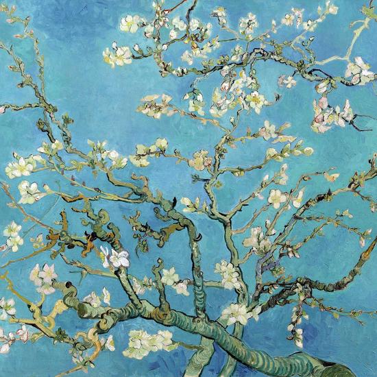 Almond Branches in Bloom, San Remy, c.1890-Vincent van Gogh-Framed Art Print