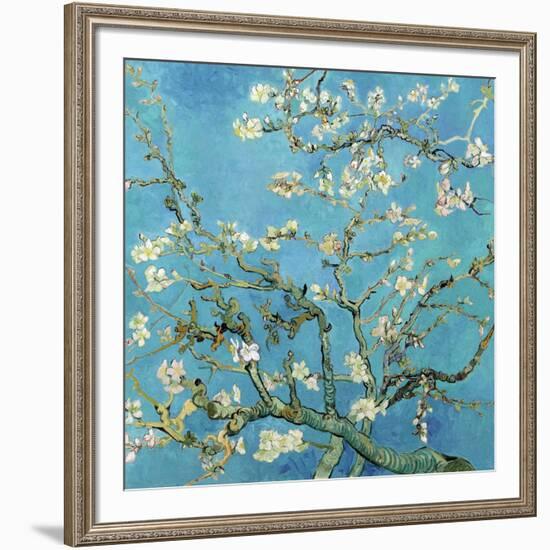 Almond Branches in Bloom, San Remy, c.1890-Vincent van Gogh-Framed Art Print