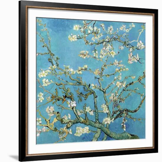 Almond Branches in Bloom, San Remy, c.1890-Vincent van Gogh-Framed Art Print