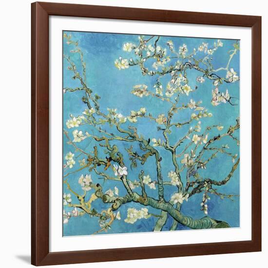 Almond Branches in Bloom, San Remy, c.1890-Vincent van Gogh-Framed Art Print