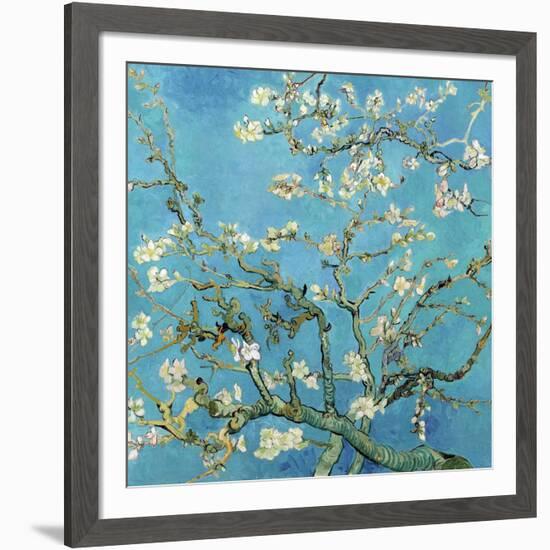 Almond Branches in Bloom, San Remy, c.1890-Vincent van Gogh-Framed Art Print