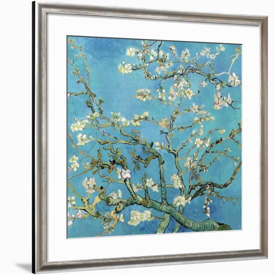 Almond Branches in Bloom, San Remy, c.1890-Vincent van Gogh-Framed Art Print