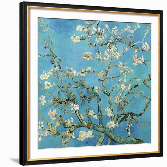 Almond Branches in Bloom, San Remy, c.1890-Vincent van Gogh-Framed Art Print