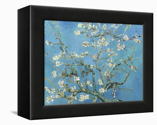 Almond Branches in Bloom, San Remy, c.1890-Vincent van Gogh-Framed Stretched Canvas