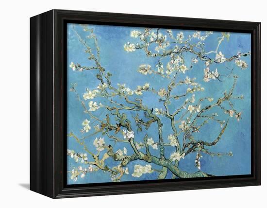 Almond Branches in Bloom, San Remy, c.1890-Vincent van Gogh-Framed Stretched Canvas