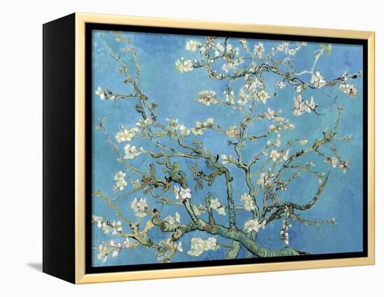 Almond Branches in Bloom, San Remy, c.1890-Vincent van Gogh-Framed Stretched Canvas