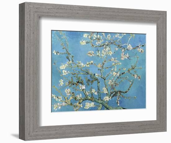 Almond Branches in Bloom, San Remy, c.1890-Vincent van Gogh-Framed Art Print