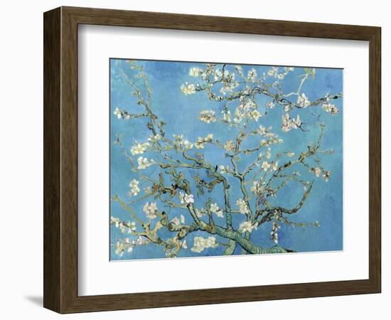 Almond Branches in Bloom, San Remy, c.1890-Vincent van Gogh-Framed Art Print