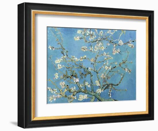 Almond Branches in Bloom, San Remy, c.1890-Vincent van Gogh-Framed Art Print