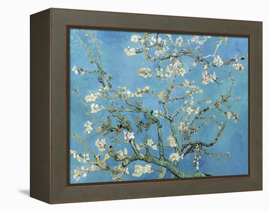 Almond Branches in Bloom, San Remy, c.1890-Vincent van Gogh-Framed Stretched Canvas