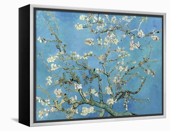 Almond Branches in Bloom, San Remy, c.1890-Vincent van Gogh-Framed Stretched Canvas