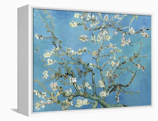 Almond Branches in Bloom, San Remy, c.1890-Vincent van Gogh-Framed Stretched Canvas