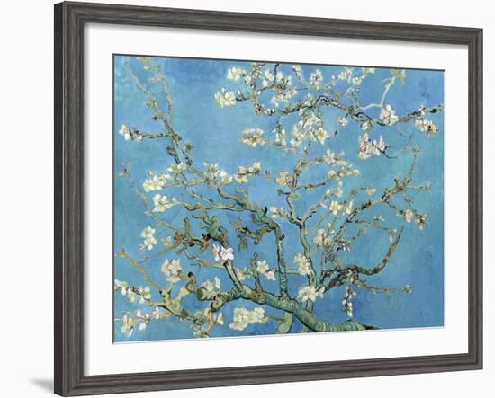 Almond Branches in Bloom, San Remy, c.1890-Vincent van Gogh-Framed Art Print