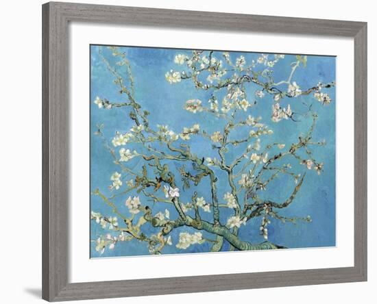 Almond Branches in Bloom, San Remy, c.1890-Vincent van Gogh-Framed Art Print