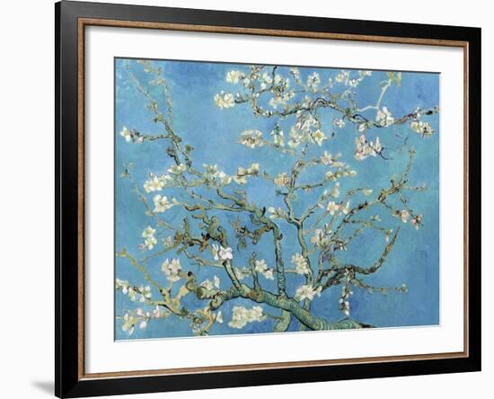 Almond Branches in Bloom, San Remy, c.1890-Vincent van Gogh-Framed Art Print