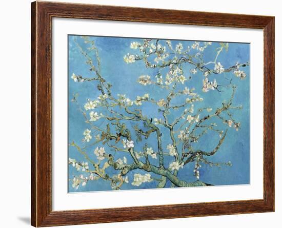 Almond Branches in Bloom, San Remy, c.1890-Vincent van Gogh-Framed Art Print