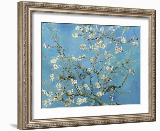 Almond Branches in Bloom, San Remy, c.1890-Vincent van Gogh-Framed Art Print