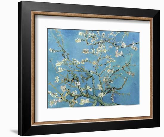 Almond Branches in Bloom, San Remy, c.1890-Vincent van Gogh-Framed Premium Giclee Print