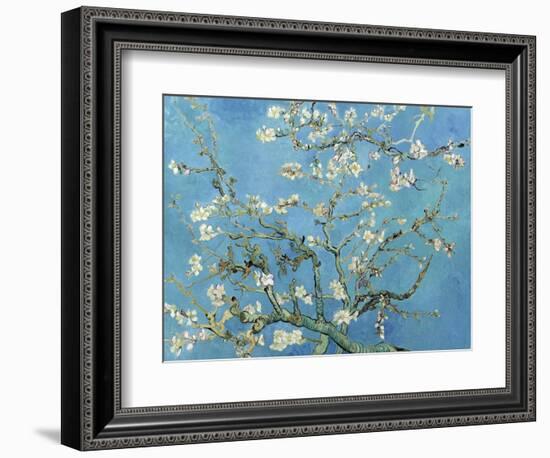 Almond Branches in Bloom, San Remy, c.1890-Vincent van Gogh-Framed Premium Giclee Print