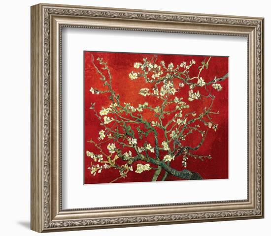 Almond Branches in Red-null-Framed Art Print