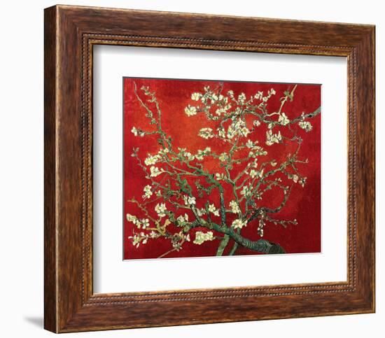 Almond Branches in Red-null-Framed Art Print