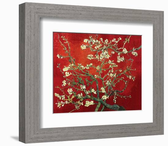 Almond Branches in Red-null-Framed Art Print