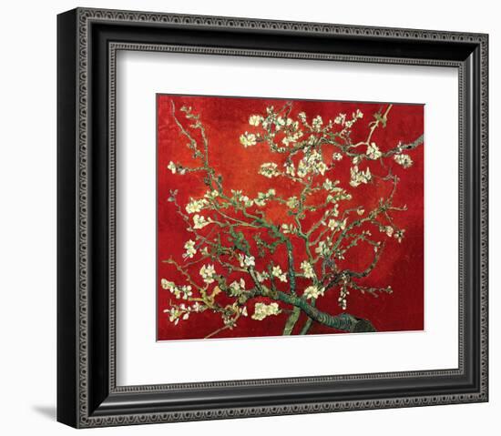 Almond Branches in Red-null-Framed Art Print