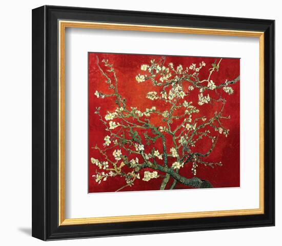 Almond Branches in Red-null-Framed Art Print