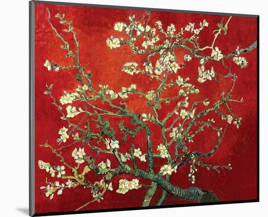 Almond Branches in Red-null-Mounted Art Print