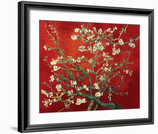 Almond Branches in Red-null-Framed Art Print