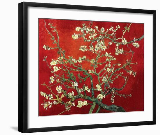 Almond Branches in Red-null-Framed Art Print