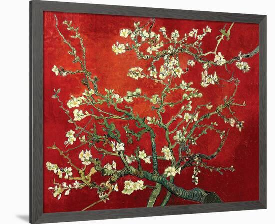 Almond Branches in Red-null-Framed Art Print