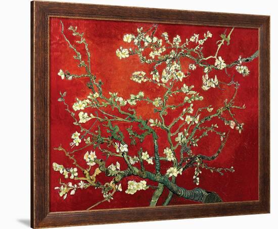 Almond Branches in Red-null-Framed Art Print