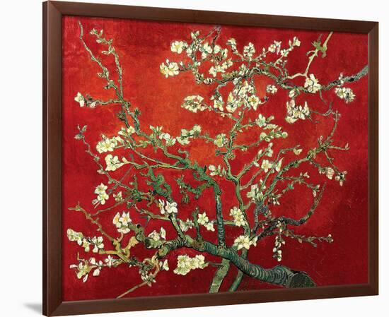 Almond Branches in Red-null-Framed Art Print