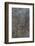 Almond Grove I-Doug Chinnery-Framed Photographic Print