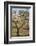 Almond Orchard in Blossom, Puglia, Italy, Europe-Martin-Framed Photographic Print