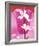 Almond Tree Flower-Amelie Vuillon-Framed Art Print
